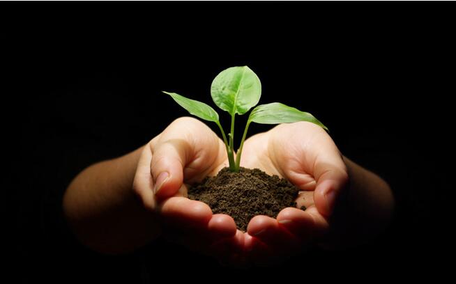 腐殖酸對(duì)土壤的重要性