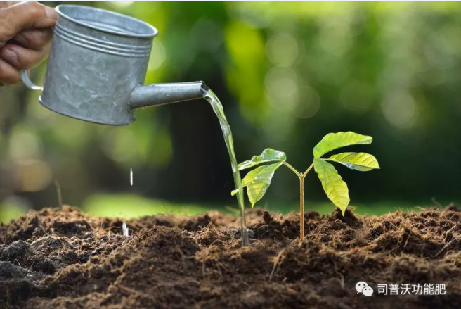 如何識(shí)別土壤酸堿性？6招讓你成為判斷高手！