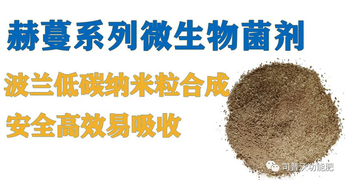 菌肥時代來臨，快搭上司普沃赫蔓微生物菌劑順風(fēng)車！