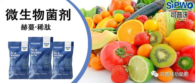 赫蔓微生物菌劑-分解毒素、改良土壤、調(diào)節(jié)生命活動、抑制土壤病菌