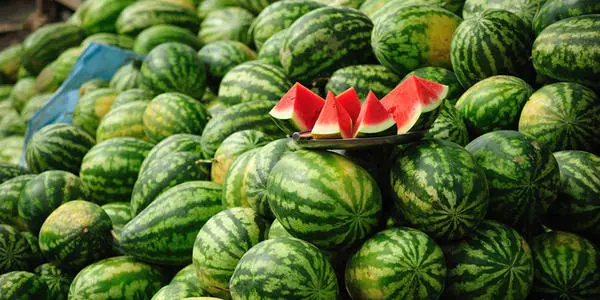 西瓜裂果怎么辦？除了水的管理還要補(bǔ)充這個(gè)!