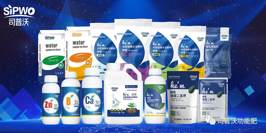 柑橘出現(xiàn)太陽果怎么辦！如何全面防灼防裂？