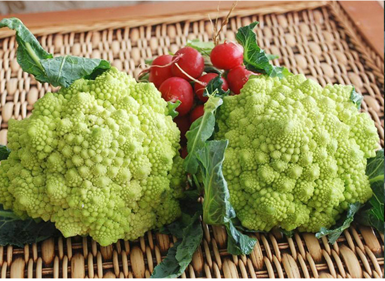 司普沃淺談花椰菜細菌性黑斑病防治技術與管理