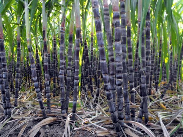 1635736674144742.jpg src=http___news.kedo.gov.cn_upload_resources_image_2015_09_09_101140.jpg_1441779171021&refer=http___news.kedo.gov.jpg