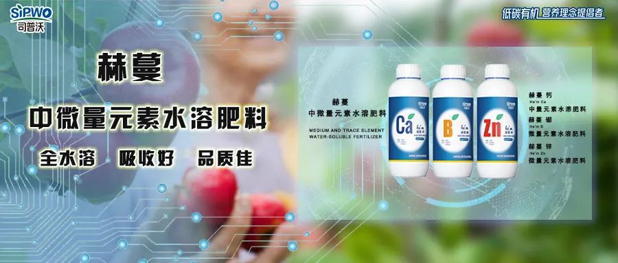 中微量元素鈣、硼、鋅|移動快、吸收好、營養(yǎng)全、品質(zhì)佳