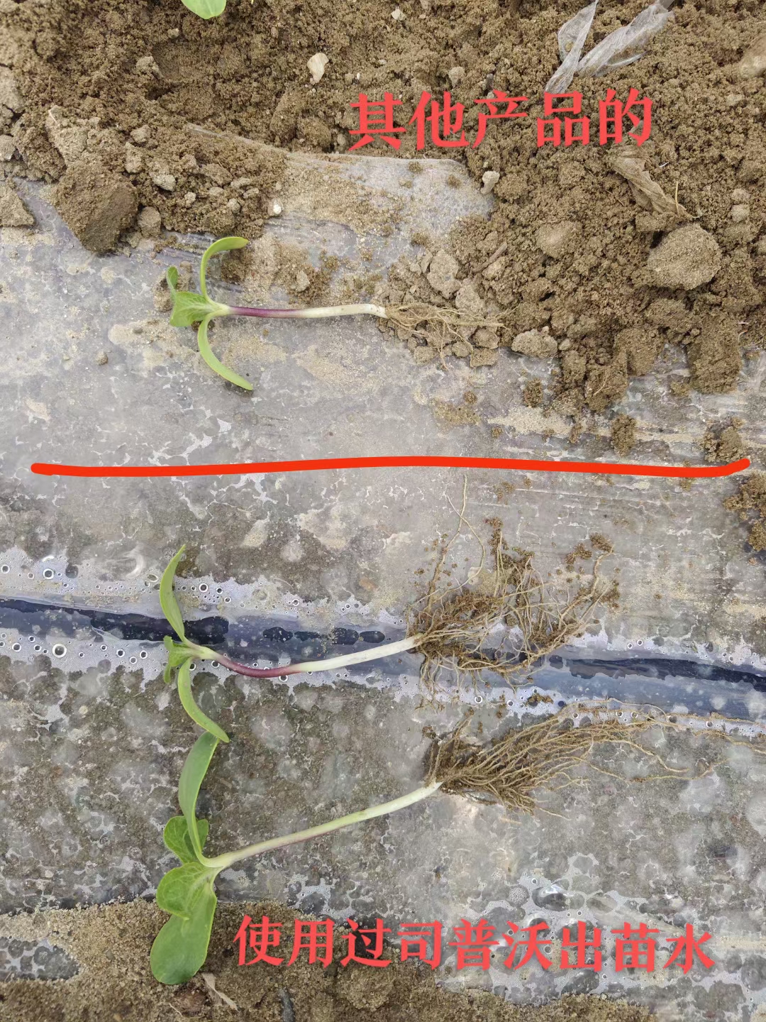 種地也有“秘密武器”？司普沃三活三抗套餐來(lái)揭秘！